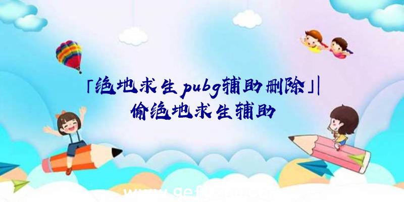 「绝地求生pubg辅助删除」|偷绝地求生辅助